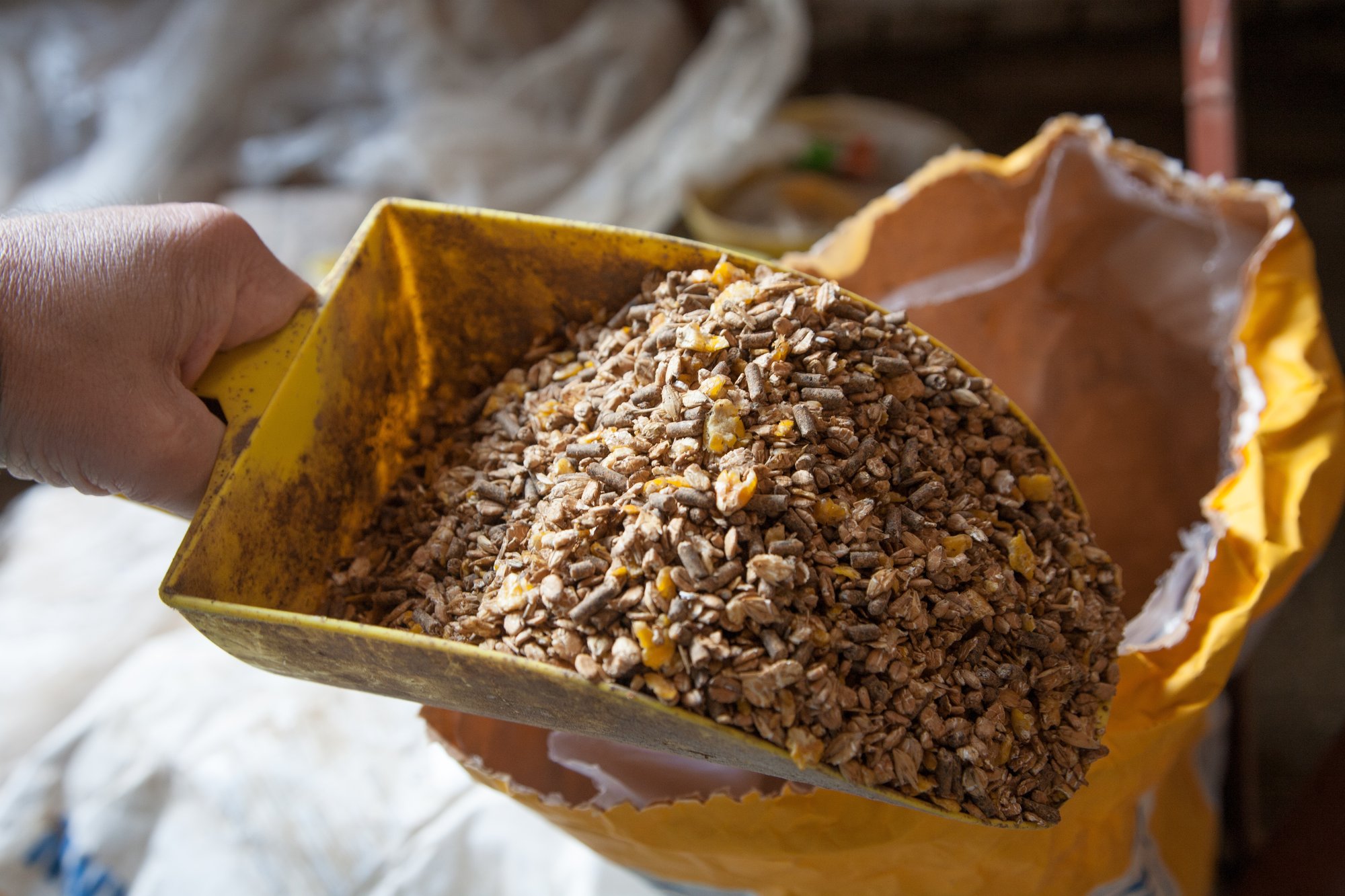 AdobeStock_240667483 AdobeStock_240667483