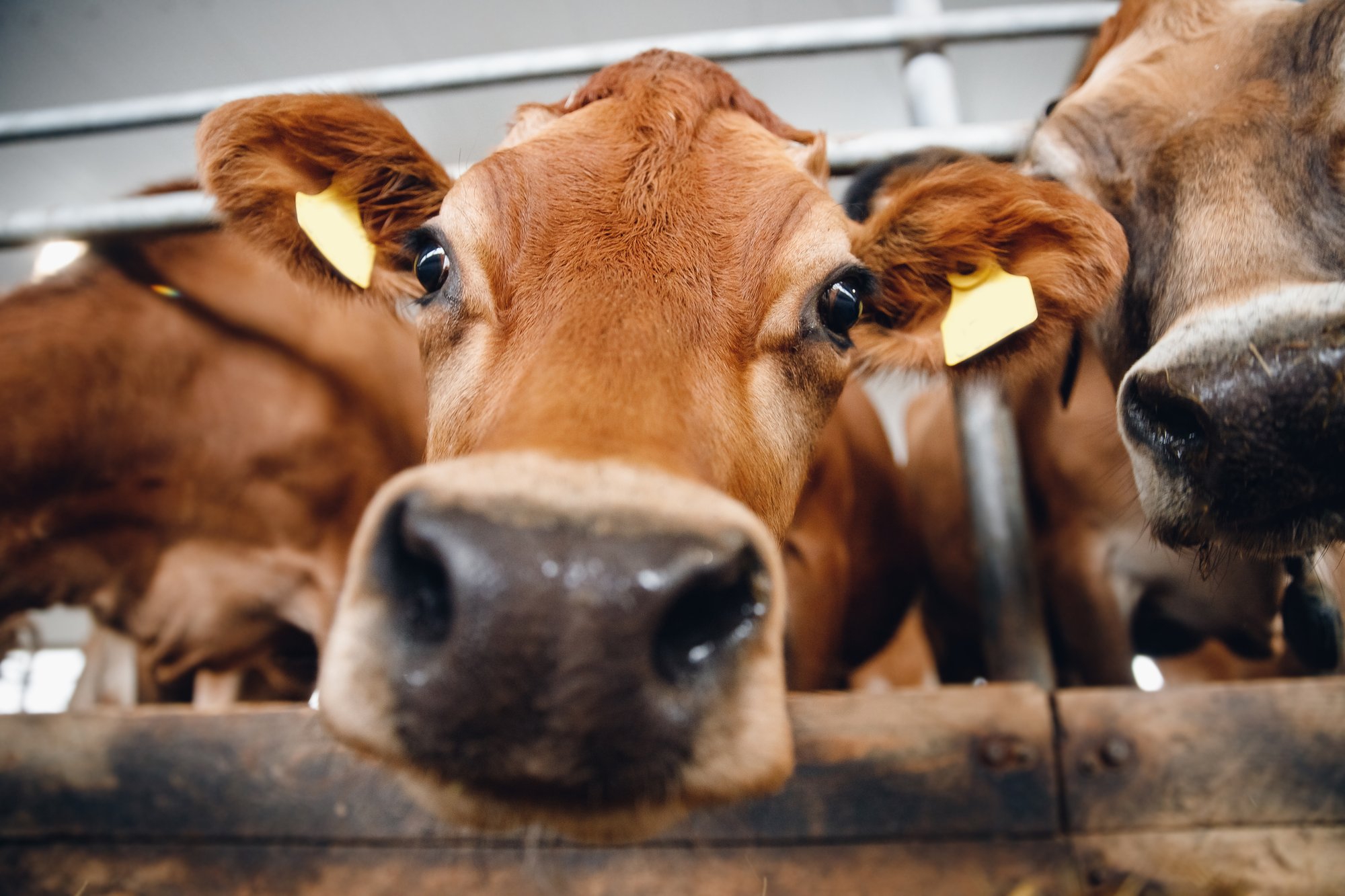 AdobeStock_392957098 AdobeStock_392957098