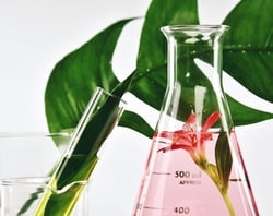 Copy of Section Headers_Newsletter2 (520x412px) (1)