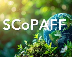 Copy of Section Headers_Newsletter2 (520x412px) (10)