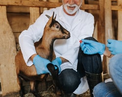 Copy of Section Headers_Newsletter2 (520x412px) (13)