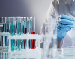 Copy of Section Headers_Newsletter2 (520x412px) (2)