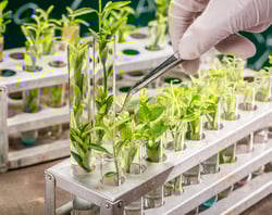 Copy of Section Headers_Newsletter2 (520x412px) (5)