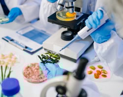 Copy of Section Headers_Newsletter2 (520x412px) (8)