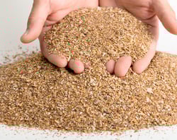 Copy of Section Headers_Newsletter2 (520x412px) (9)