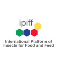 IPIFF_small logo2