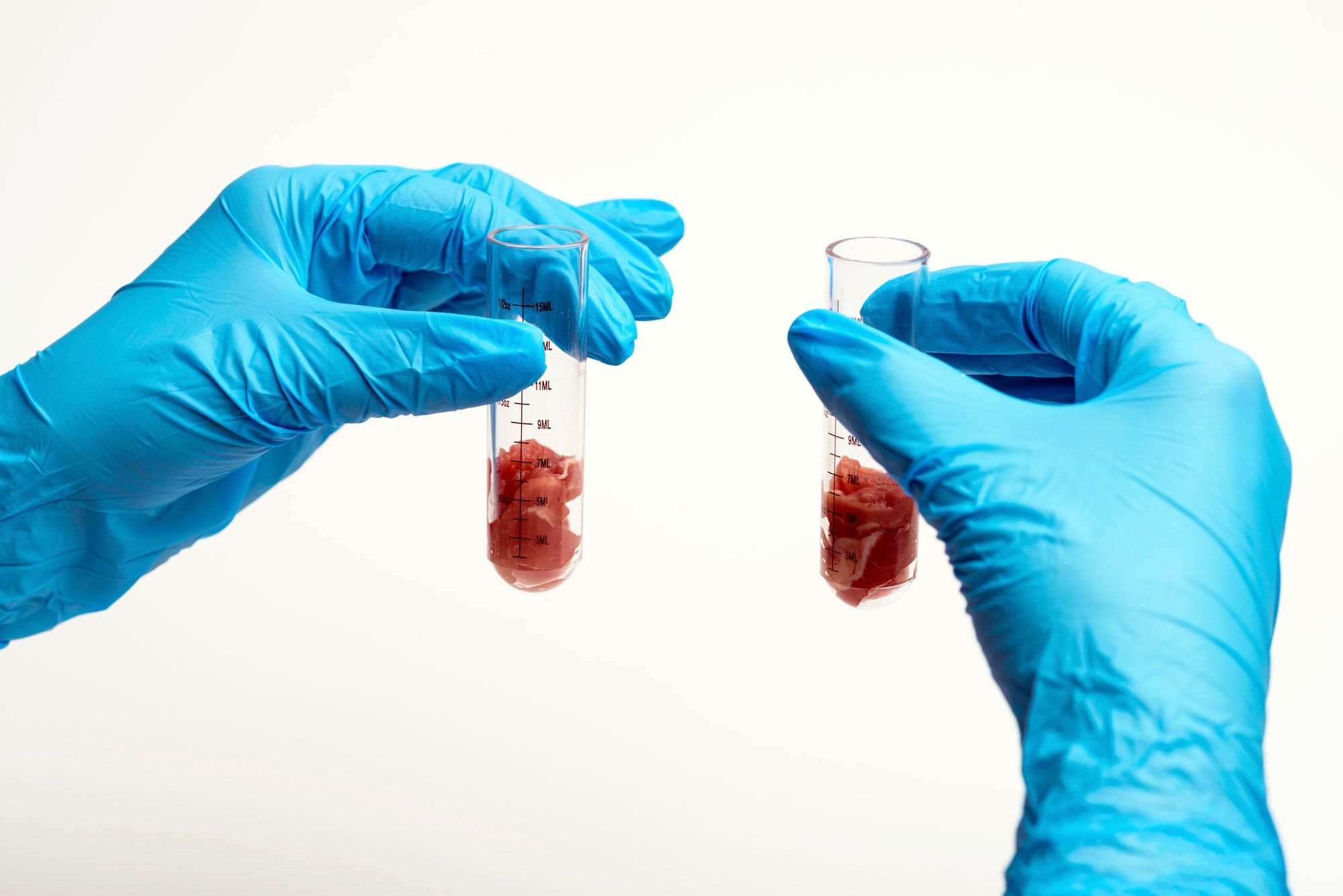 shutterstock_1315856519