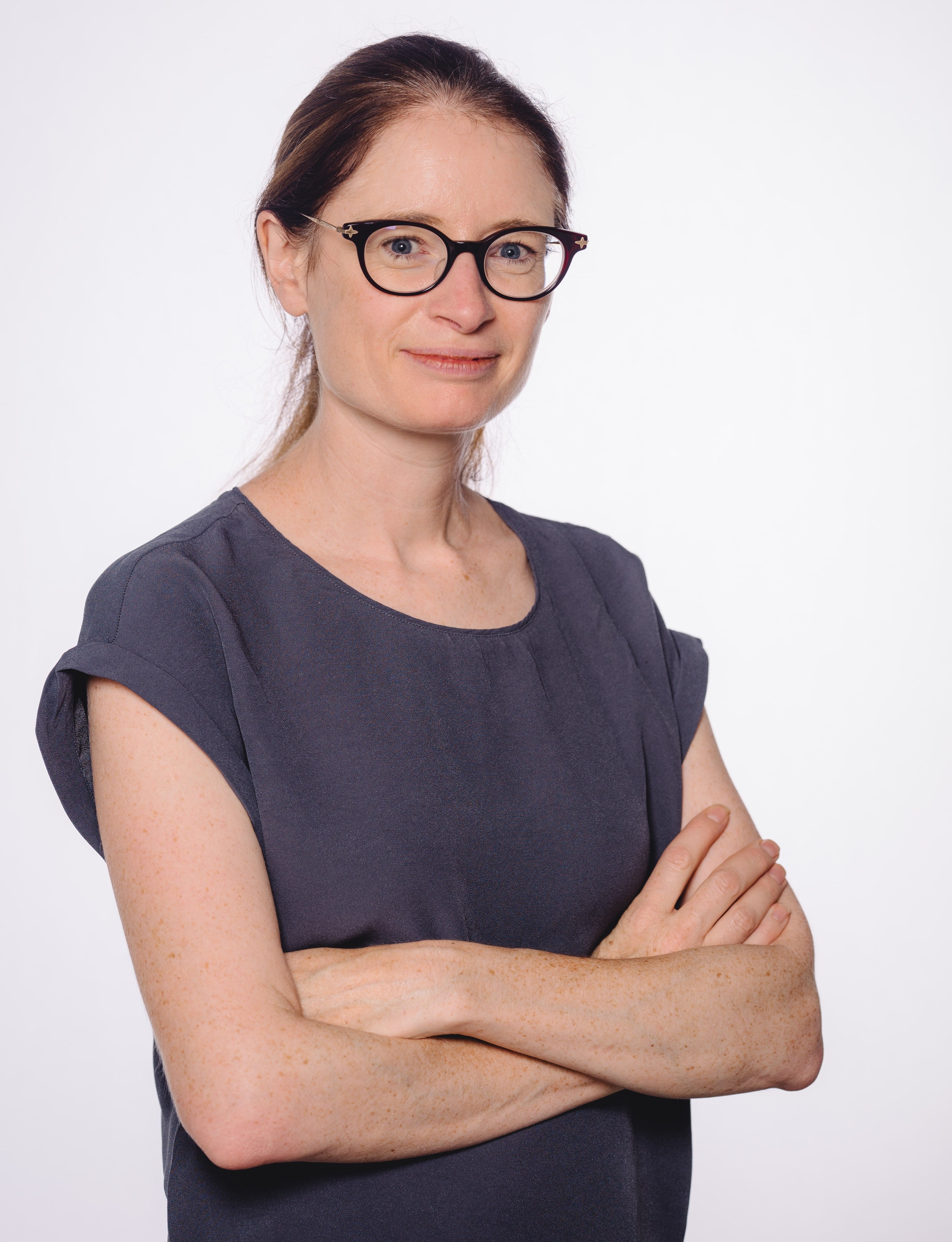 L. Conboy-Schmidt picture