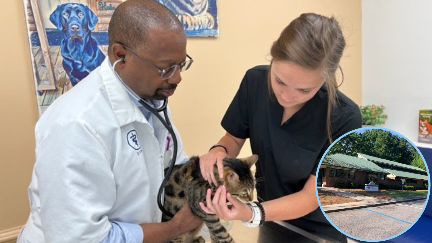 Vets and Pets Newsletter Cover Photo (2)